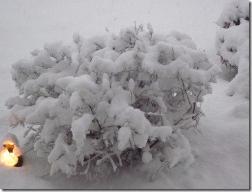 Hershey Kisses-Snow 024