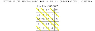 order 5 semi-magic torus type 12