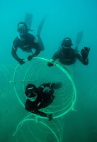 Freediving Zakrzówek - Kraków - PJ Freediving