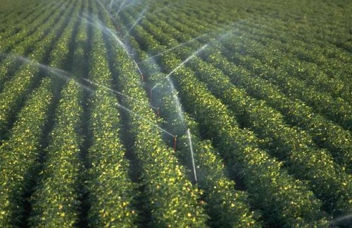 Agricoltura: Fima, non si può escludere settore fonte di vita