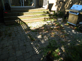 Toronto gardening services Bracondale Hill backyard cleanup before by Paul Jung