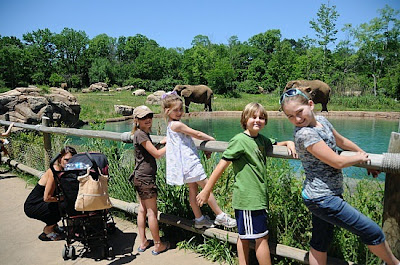Nashville Zoo Holiday