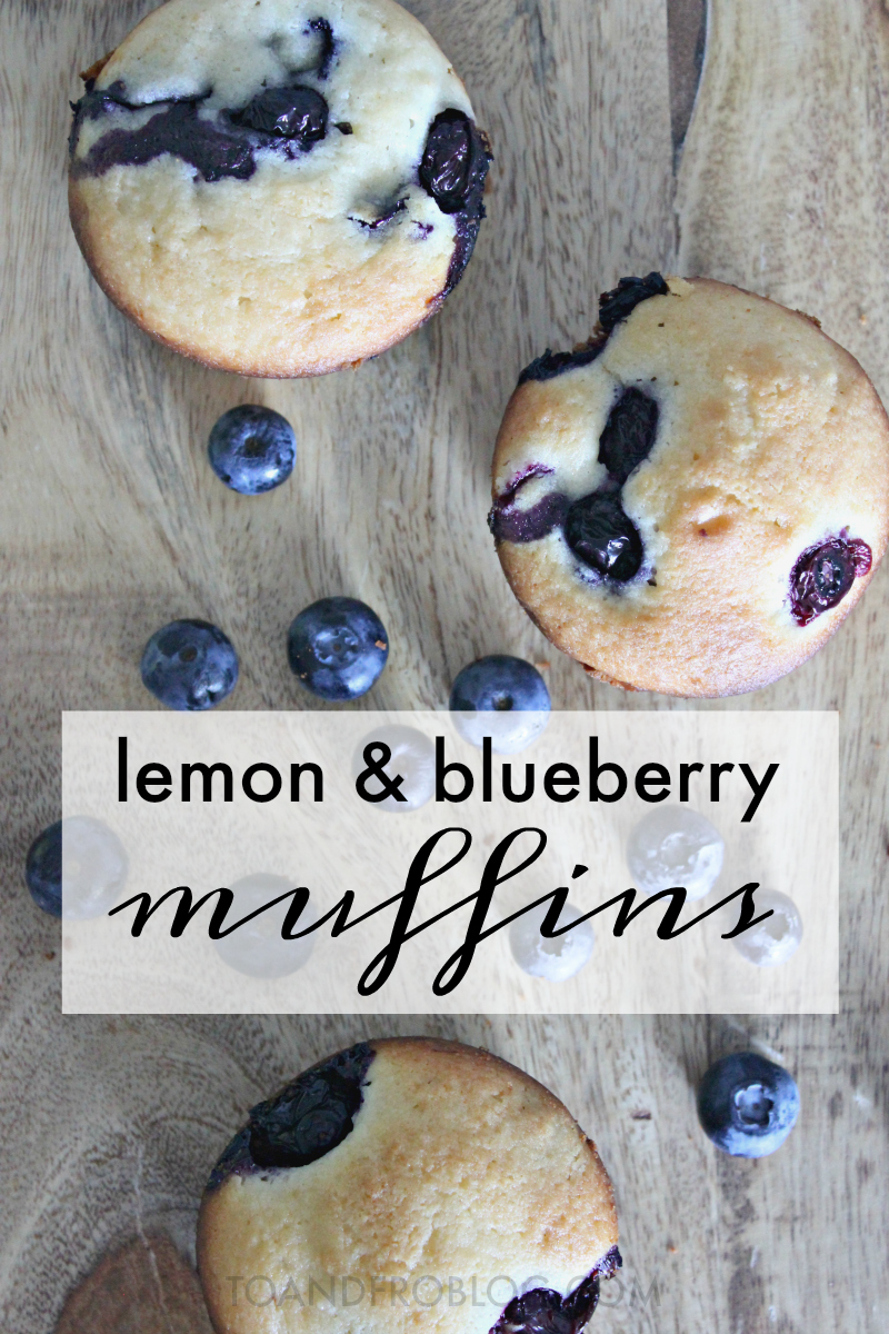 The Best Lemon and Blueberry Muffin Recipe