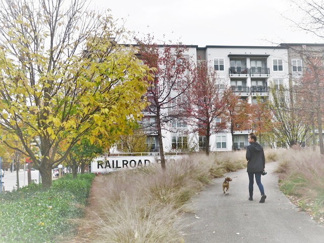 Railroad Park in November. Birmingham, Alabama, November 2020.