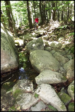 Bubbles Hike 140