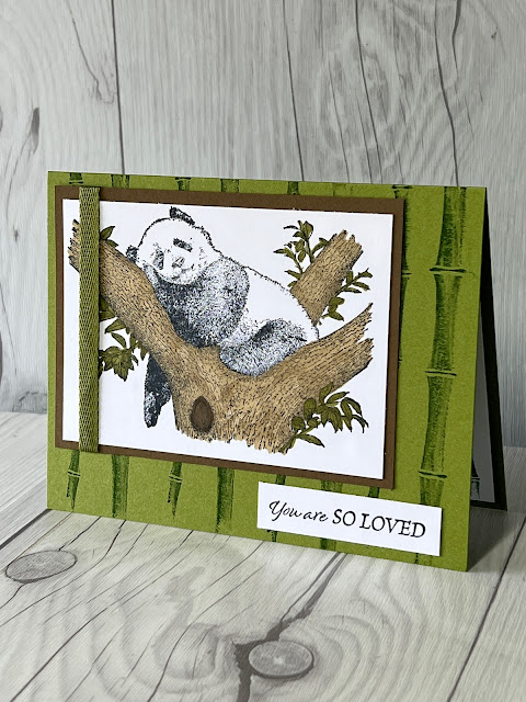 Panda in a tree image on a greeting card using Stampin' Up! Wild & Sweet Stamp Set