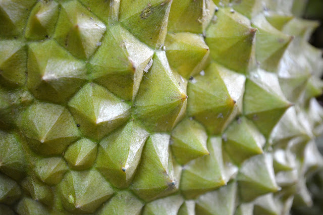 Mao-Shan-Wang-Durian