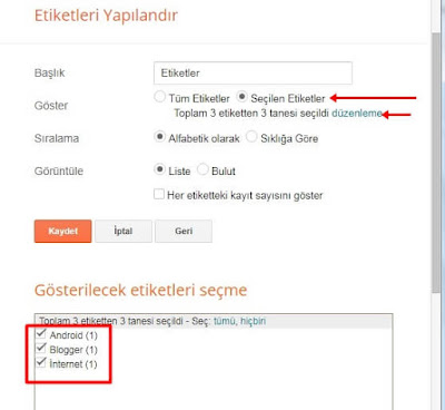 blog etiketleri