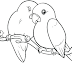 Gambar Mewarnai Burung Lovebird