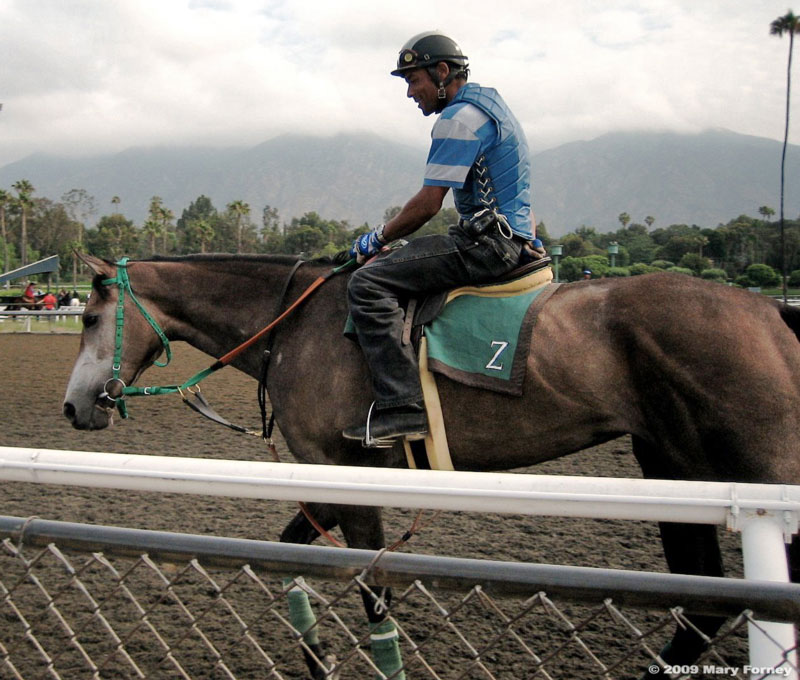 Well Monied on the track