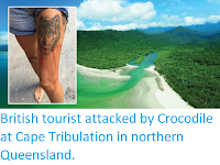 http://sciencythoughts.blogspot.co.uk/2017/12/britisg-tourist-attacked-by-crocodile.html