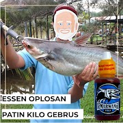 Essen Oplosan Ikan Patin Kilo Gebrus Terupdate Paling Jitu!