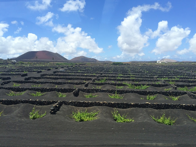 lanzarote zocos