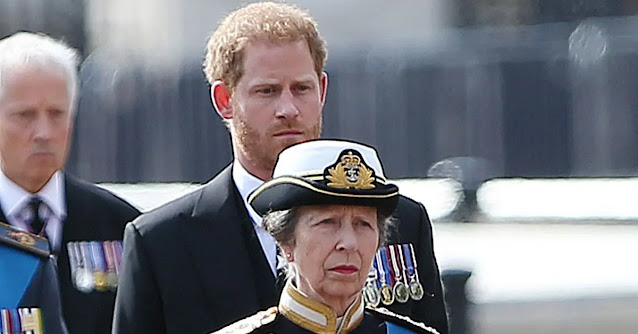 The Evolving Dynamics of the Royal Family: Princess Anne's Ascendance and Prince Harry's Royal Status