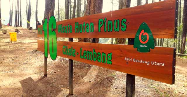 wisata hutan pinus pal 16 cikole lembang