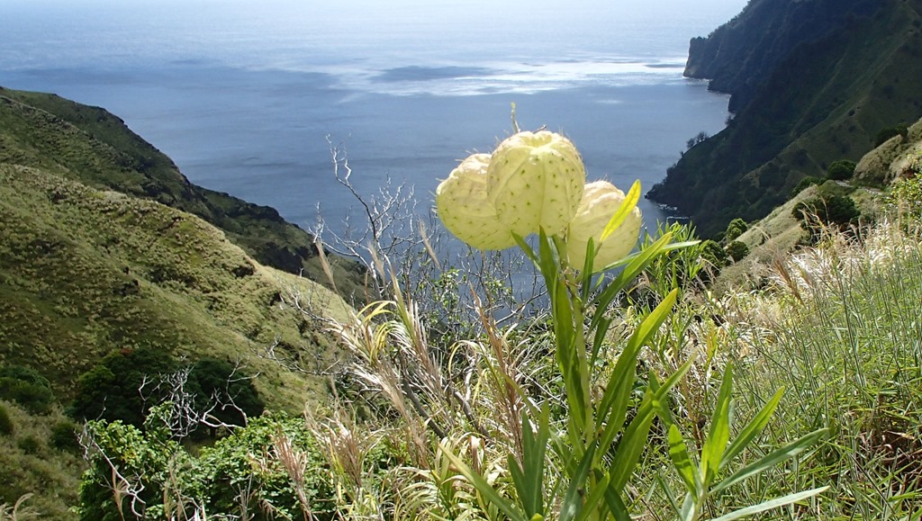 P5093068