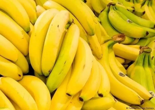جزيرة جربة : إيقاف تاجر من أجل الترفيع في سعر الموز