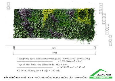 Thi công vườn trên tường nhà chị Thủy Parkcity