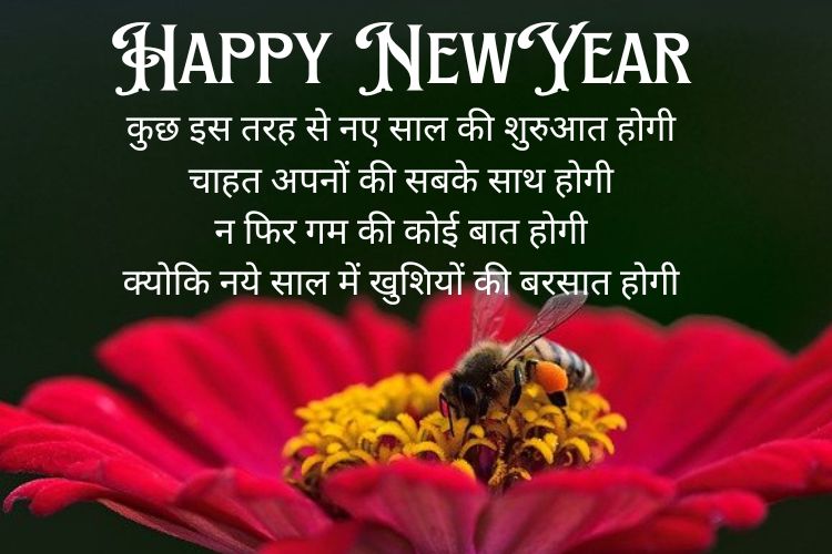 happy-new-year-shayari-photo Happy-New-Year-Shayari-With-Images