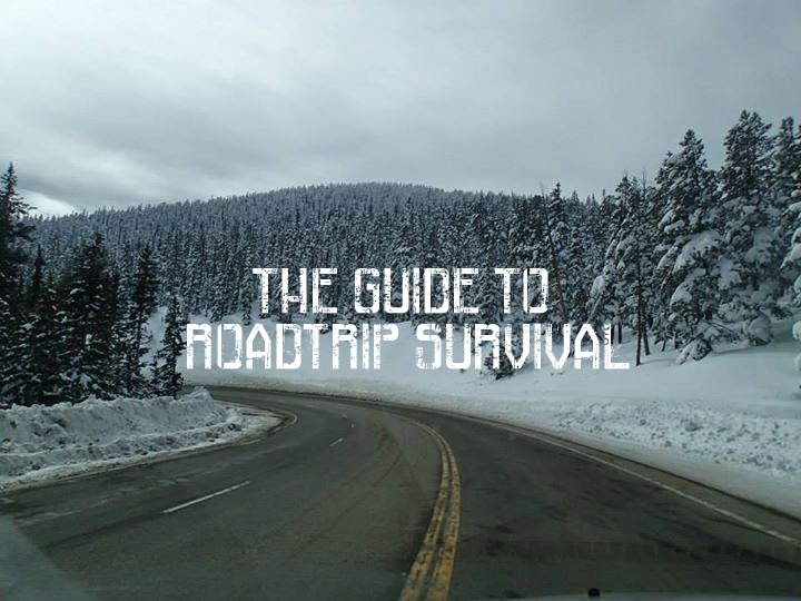 http://www.mountainenthusiast.com/2014/04/the-guide-to-roadtrip-survival.html