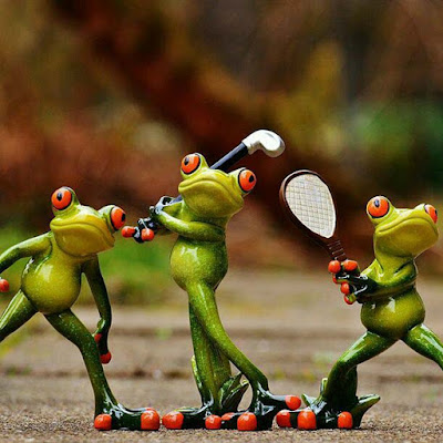 mendak-frog-imgs-playing-hocky-bedmintan