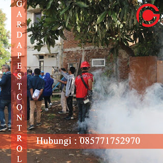 Telp : 085771752970 Jasa Fogging Nyamuk Murah di Rawalumbu