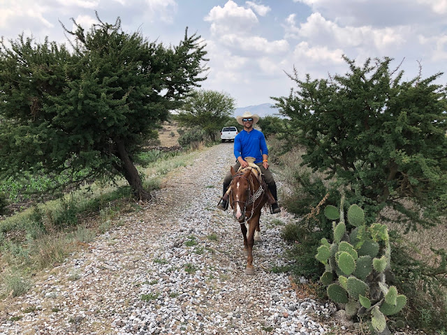 Rancho Las Cascadas Mexico Horseback Riding