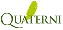 QUATERNI