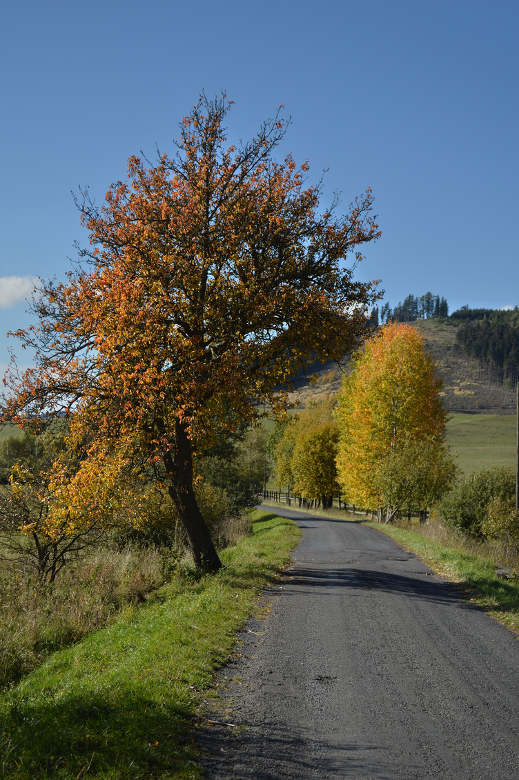 nežichov, třebouň, branišov, podzimní výlet v čechách, georgiana quaint