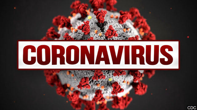 What is a coronavirus