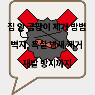 집 안 곰팡이 제거 방법  벽지·욕실·냄새 제거 & 재발 방지까지