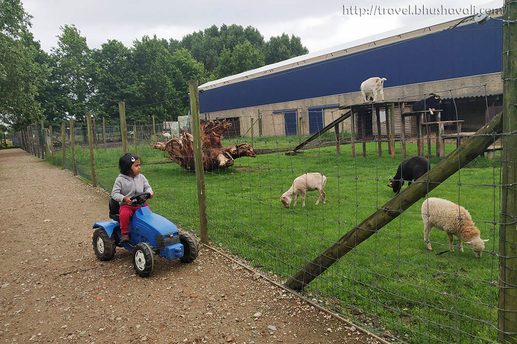 Things to do in Lier with kids Ostrich Farm Struisvogelnest