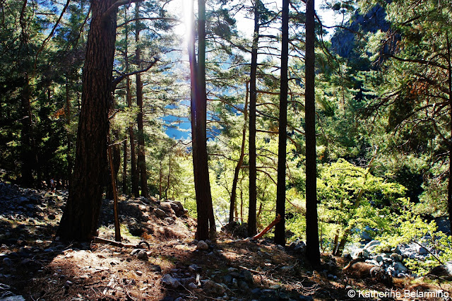 Mountainside Samaria Gorge Hike Crete Greece