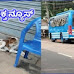ಬದಿಯಡ್ಕ, ಏತಡ್ಕ ಪರಿಸರದಲ್ಲಿ ಬೀದಿ ನಾಯಿಗಳ ಹಾವಳಿ; ಕಣ್ಣುಮುಚ್ಚಿ ಕುಳಿತ ಸ್ಥಳೀಯಾಡಳಿತ