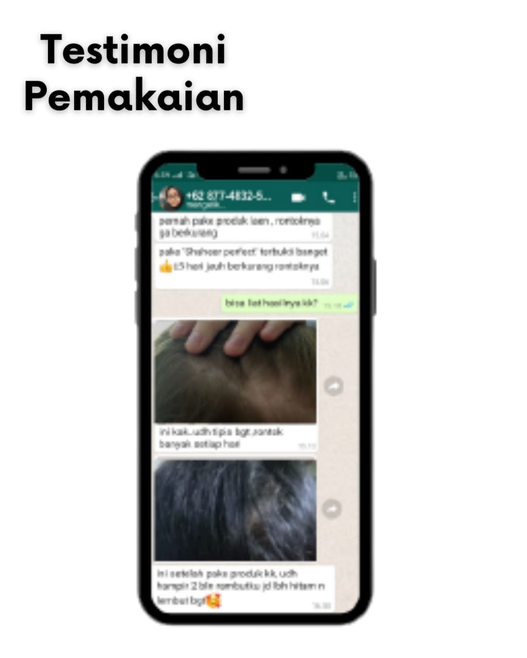 testimoni Shaaher Perfect Hair Care