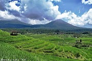 Populer 41+ Gambar Pemandangan Gunung Dan Sawah, Gambar Pemandangan