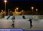 Pistas de Skate