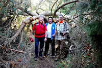 Caminada de les Guilleries 2010