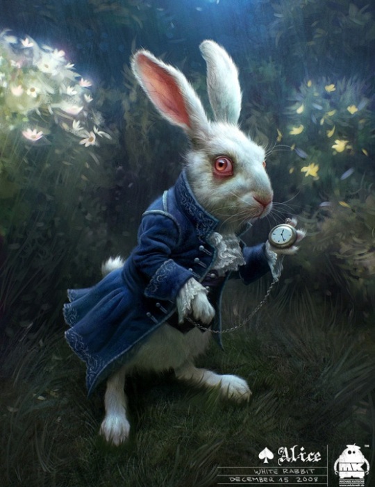 white rabbit