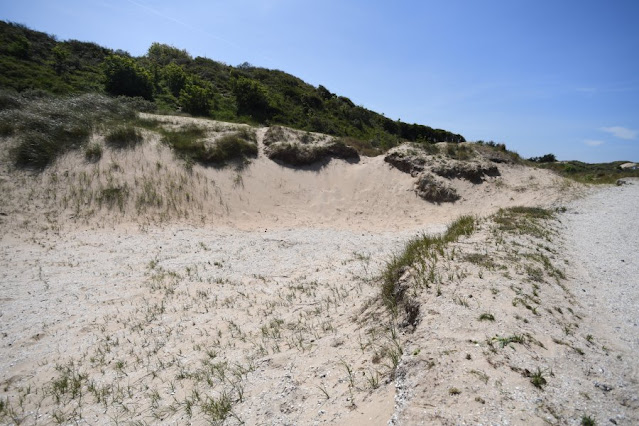 www.jetjesdag.nl | Nicolaas/S fotografie | Hollands Duin ten noorden van Noordwijk|