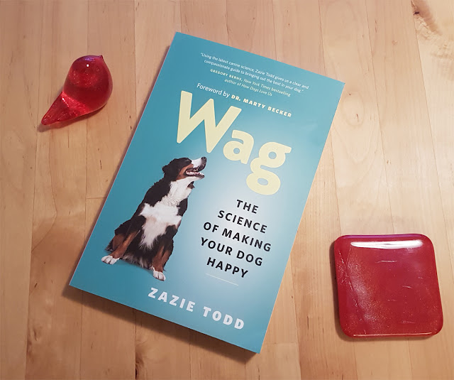 Wag: The Science of Making Your Dog Happy has won a DWAA award. The book is pictured with a red glass bird and a red glass mat.