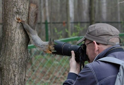 Um esquilo curioso!