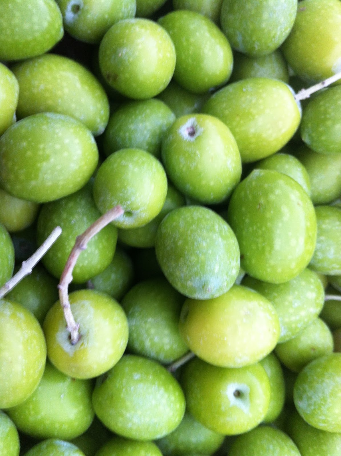 Huiles et Olives  Pourquoi préférer un contenant opaque huile d'olive ? -  Huiles et Olives