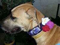 Sweet Nothings Crochet free crochet pattern dog ; dog modelling his neckwear,