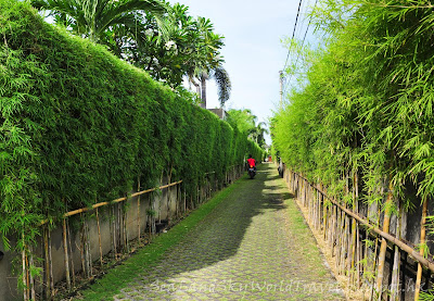 Bali, Seminyak, Serene Villa, 水明漾