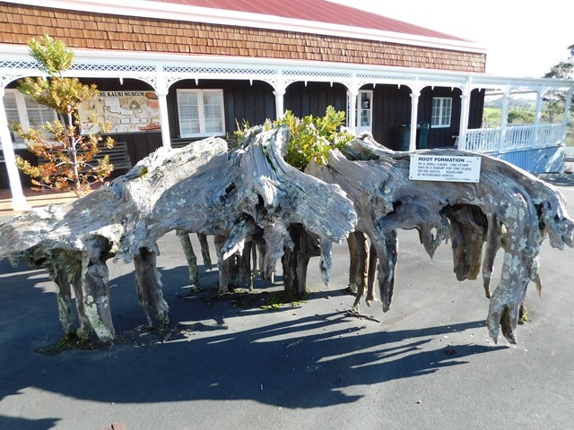 C77_NZ NI Kauri Museum_2018-06-06_DSCN0936
