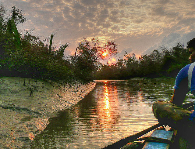  Sundarbans National Park