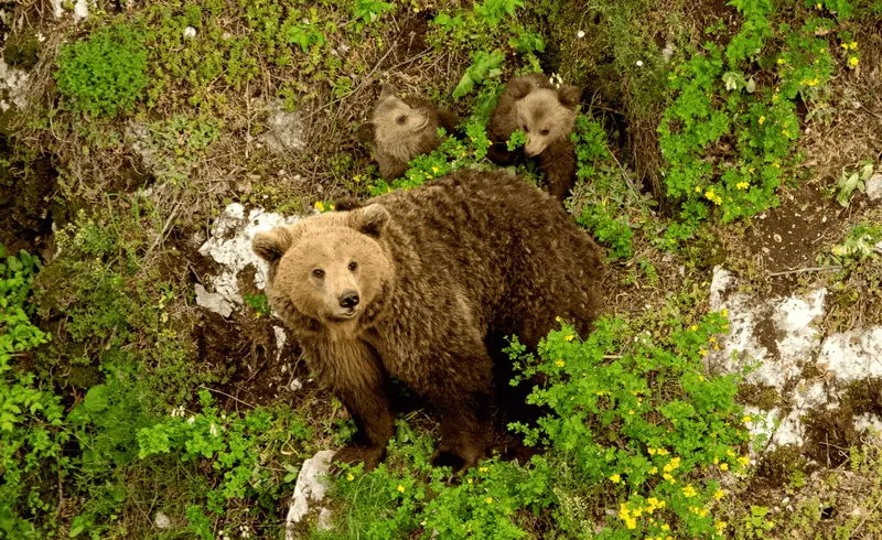 Η ομορφιά των ελληνικών περιοχών Natura 2000 σε 40 εντυπωσιακές φωτογραφίες