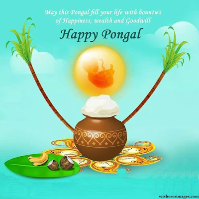 Happy Pongal Images For Whatsapp DP
