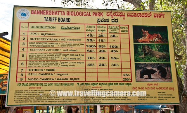 PHOTO JOURNEY to Baneghatta National Park in Banglore - Tigers, Lions : Posted by VJ SHARMA on www.travellingcamera.com : Banerghatta National Park is one of the main attraction in Banglore city and it was our first choice in the list of all the places we wanted to visit in Banglore... After reaching the place and having one round of wildlife sactuary, it was was marked as a successful visit and worth spending half day including Butterfly house and Zoo... Check some of the photographs with some details....It was an amazing experience to see lot of white tiger raoming around us... Actually Banerghatta is not like Jim Corbett, Ranthambore or many of other national parks where wild animals are allowed to roam in any part of the sacnyuary. Banerghatta has some dedicated sections for each type of wild animal and many times these animals can be caught around the roads because of good network of roads inside...After 15 minutes drive from office we reached Banerghatta National Park and here is open parking of Banerghtta.. Its just behind the Bus Stand for this place... After parking the car here we ealized that its a popular place among young couples of Banglore :) just like Lodhi Garden in Delhi... Never mind, we can understand the fact about scarcity of space in these bug cities...After parking the car we took the short cut through bus station of Banerghatta National Park... Here is a photograph of Banerghatta National Park Bus-Station.... Two kinds of buses connect this place from city... AC Buses and the ordinary ones... AC buses have also very nominal tickets and people prefer to have them here and there is good frequesncy of AC buses to Banerghatta National Park...There  is a small market just outside Banerghatta National Park and Zoo... After looking at this market its looks like some fair where everyone is very excited and want to have some adventure in life... Children playing around, adults having some fun in the gardens and elders buying some stuff for home or something to eat... Here is a photograph of Banglore wheel :)Next step was to find out ticket counter and here is one hoarding showing ticket rates for various things... There is a Zoo, A butterfly park, Wildlife safari and Elephant Ride... Various combinations have different tickets... For more details check out the pohotograph above...After having two tickets for Wildlife safari and Banerghatta Zoo, we went to the main gain for taking the bus for wildlife ride into the Banerghatta National Park... They have some closed buses which take all the tourists to Banerghatta Nationa Park and stop wherever they see something... Drivers and a guide, who are main decision makers for stopping the bus and for how much time, were very rude initially but after some chit-chat they started stopping bus as per our choice... n of-course, this service wa not free...Here is Karnataka Tourism bus which tok us inside the Banerghatta National Park in Banglore.... We left it near Butterfly Park which is very near to Exit of wildlife boundaries... We were sitting on the front seat and here is a photograph of a dry area inside Banerghatta National Park on driver-side.. I have been to ariska, Jim Corbett and Ranthambore many times but never saw tiger there.. Banerghatta National Park is the firstwildlife sanctuary where I saw tigers first time... It was not the only tiger we saw.. There were lot many ...Lion pugs playing with each other... There was a beautiful section fo lions and they were having fun on the side of a water stream inside Banerghatta National Park... Children in our bus were very happy at this place and they didn't want to move ahead from that place... Driver took them at same place while returning back...Spotted Dear in Banerghatta National Park, Banglore...India has over 550+ animal sanctuaries which are referred to as Wildlife Sanctuaries... Among these 28 are Tiger Reserves which are governed by Project Tiger and are of special significance in the conservation of the tigers in india... These day many organizations are doing various events to make people aware of the fact that total count of tigers in india is going down and we should be sensitive about it... Some wildlife sanctuaries are specifically named Bird Sanctuary, eg. Keoladeo National Park before attained National Park status... Many National Parks were initially Wildlife Sanctuaries...Fighting bears inside Banerghatta National Park, Banglore, Karnataka, INDIA